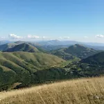 Pettino *