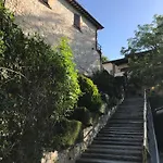 Pettino