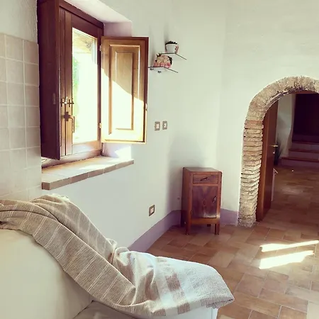 Alojamento de Turismo Rural Pettino